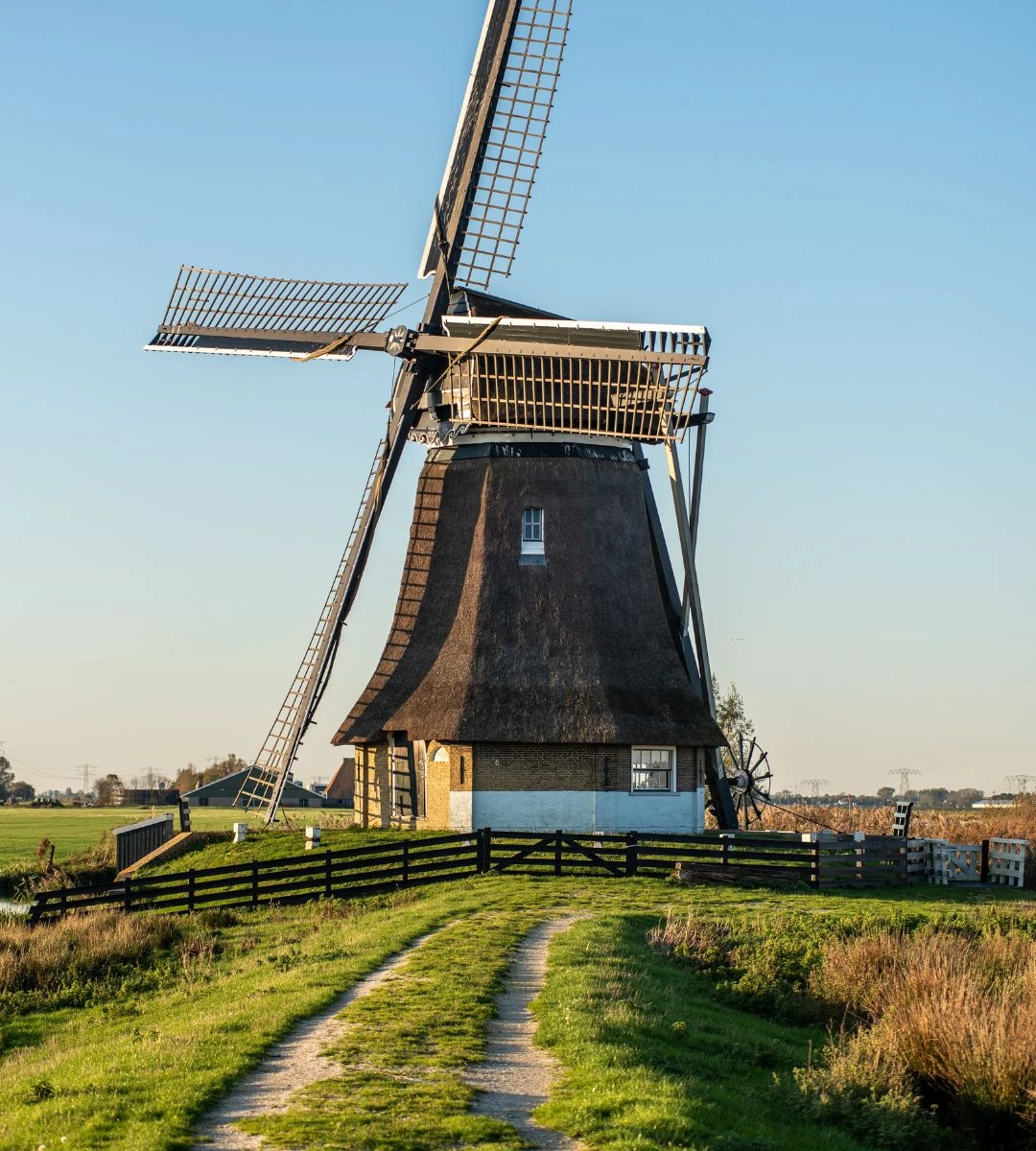 Język fryzyjski podobny do angielskiego Foto: stary młyn we Fryzji