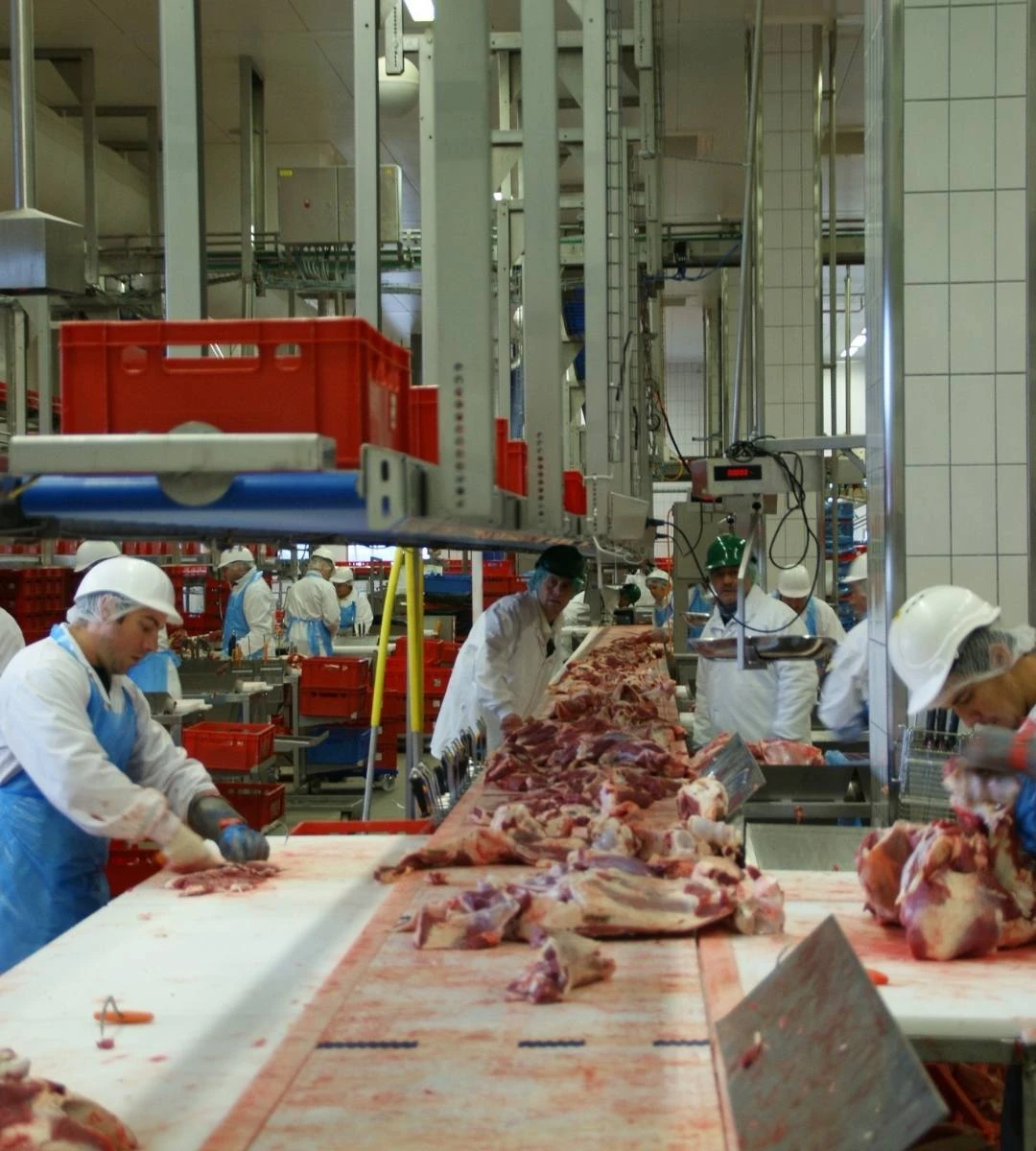 Wyzysk migrantów w Holandii