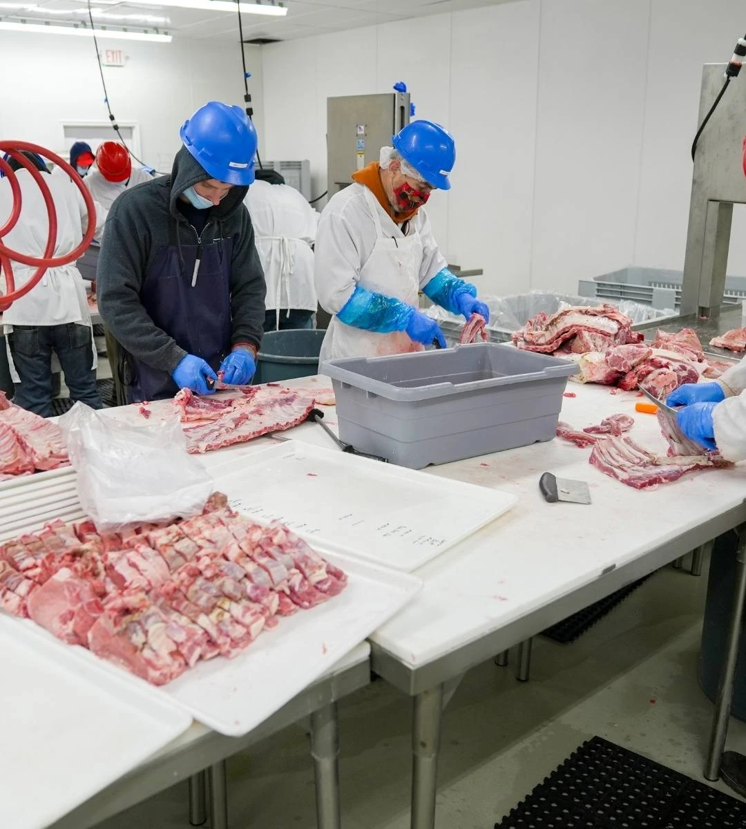 Wyzysk migrantów w Holandii