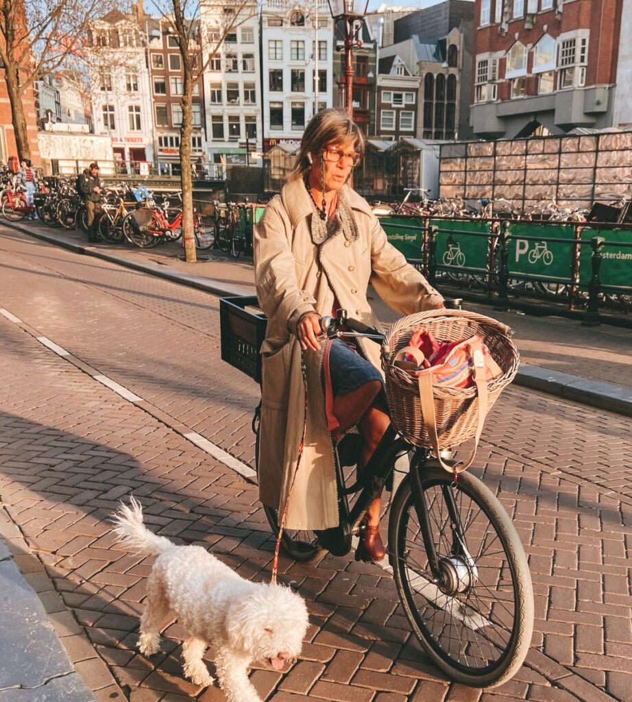 wyższe mandaty w Holandii w 2026 Foto: Kobieta na rowerze w Holandii