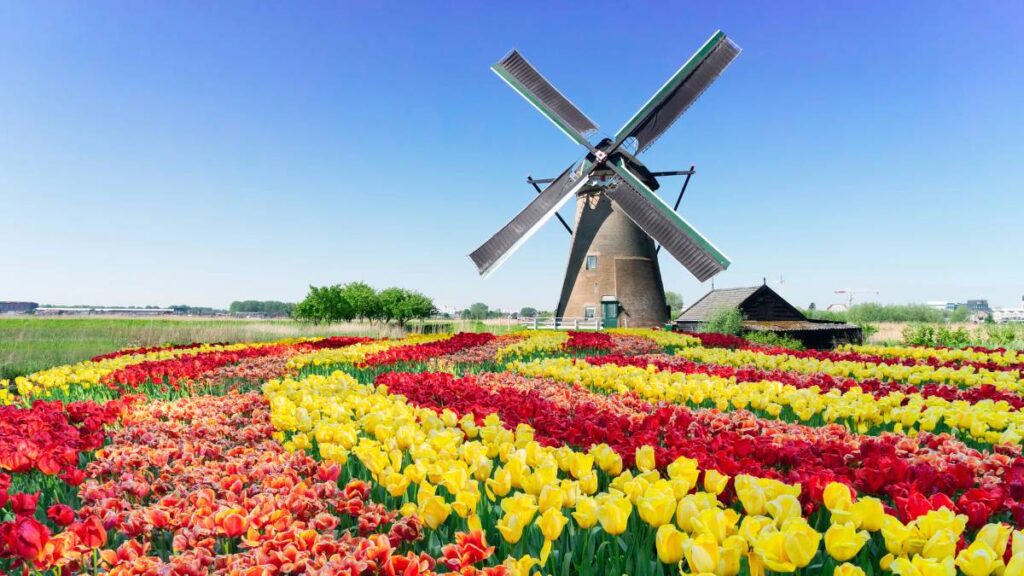 Holandia: ciekawostki i fakty,