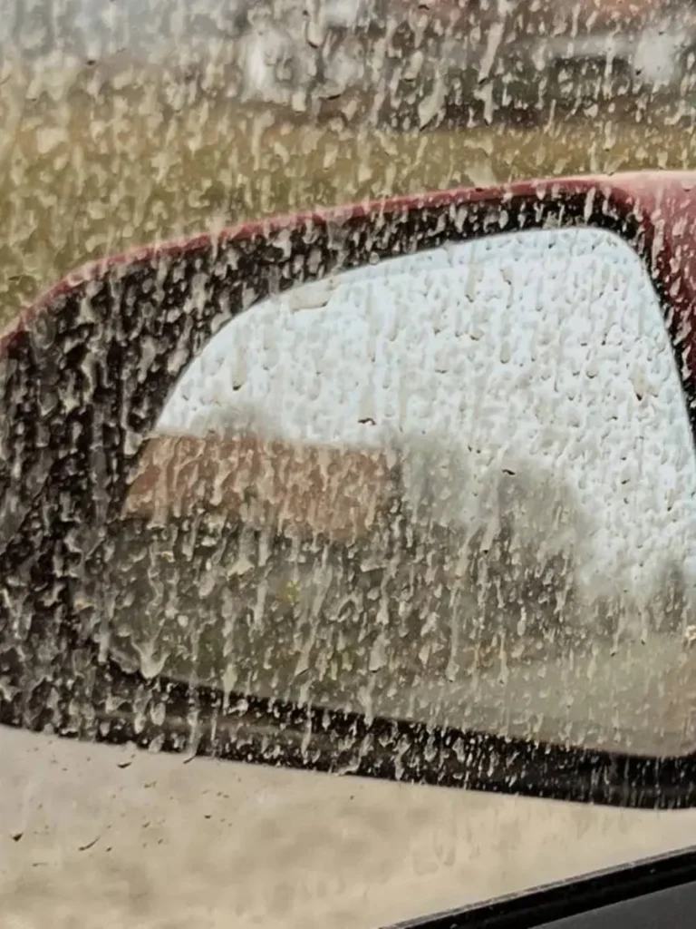 W Holandii może spaść "krwawy deszcz"