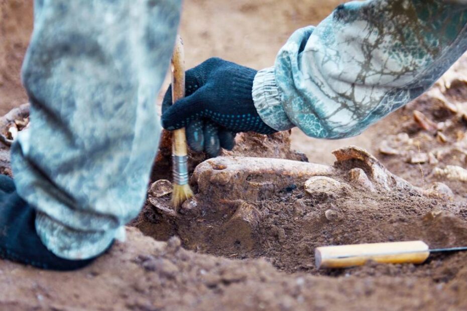 odkrycie szkielet d’Artagnana