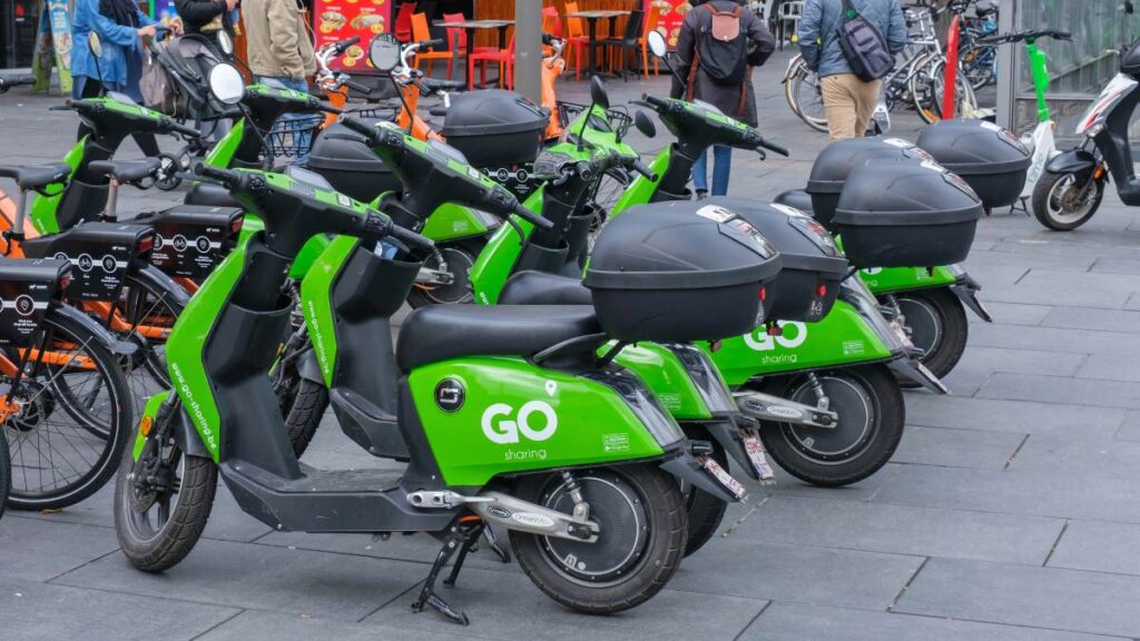 Chaos po upadku firmy w Holandii