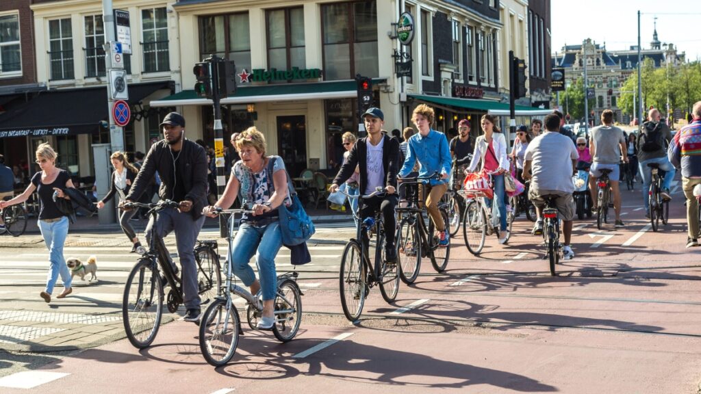 Nowa funkcja w aplikacji dla rowerzystów