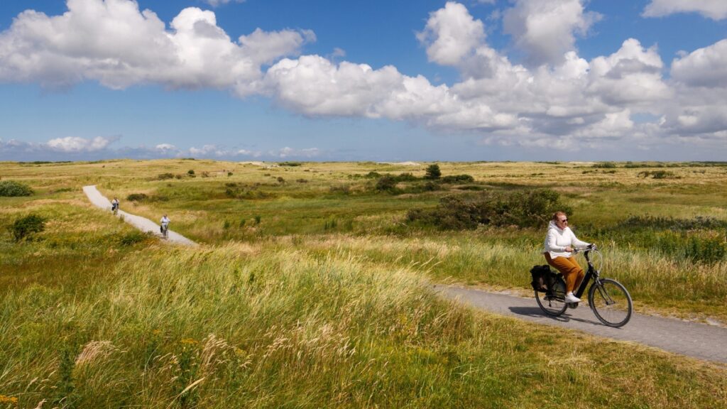 Nowy park narodowy w Holandii
