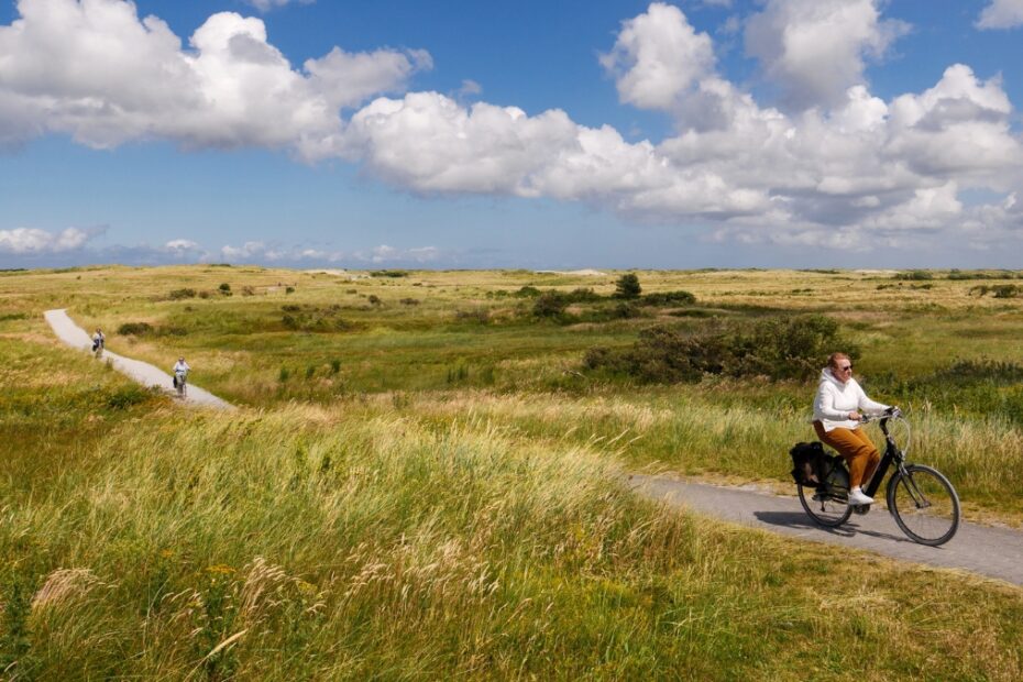 Nowy park narodowy w Holandii