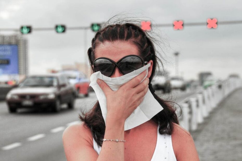 Jakość powietrza w Europie