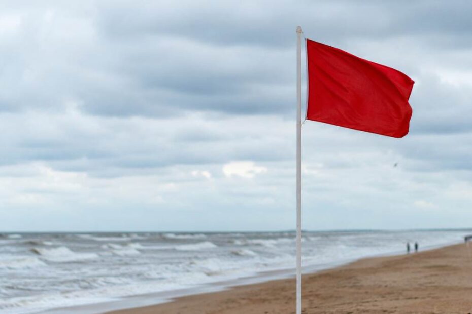 Alarm na plażach w Holandii