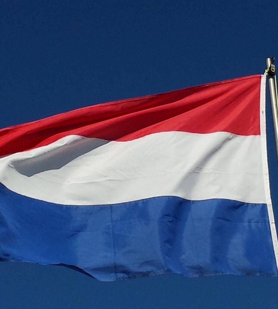 Utrata zasiłku za brak znajomości języka w Holandii zdjecie holandia flaga