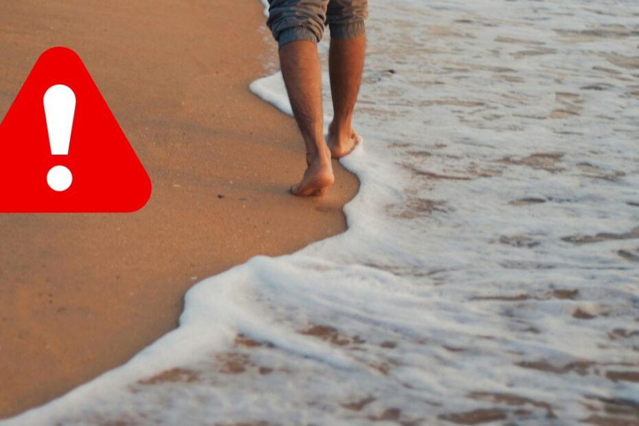 Jadowite ryby na plażach