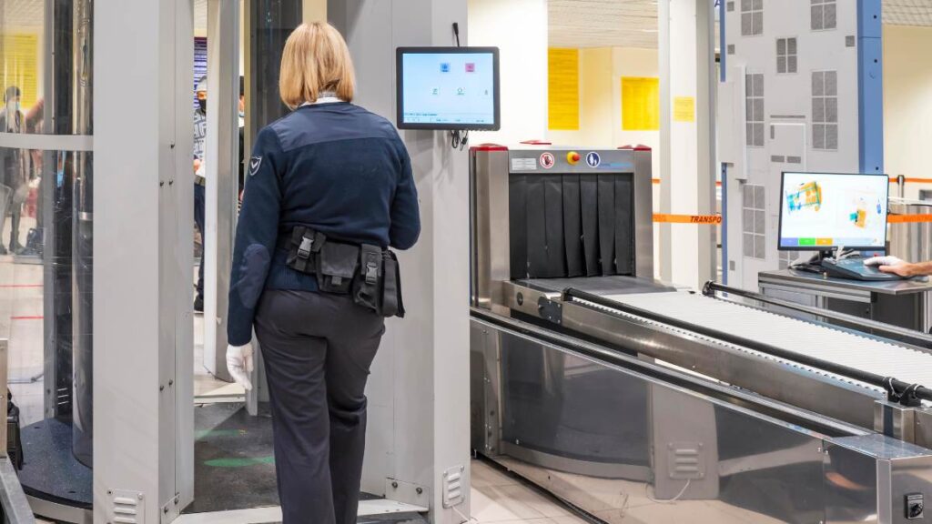 ukryła w biustonoszu żywego pytona