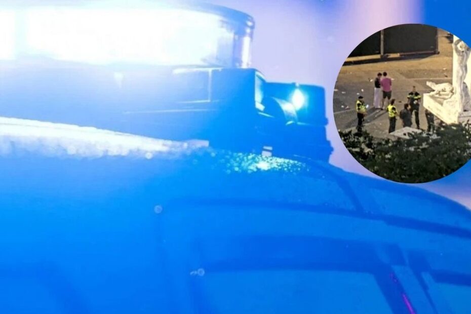 Polak zatrzymany po dewastacji pomnika w Amsterdamie