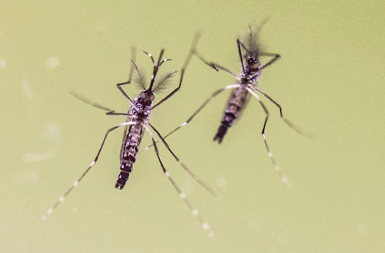 5 osób nie żyje z powodu groźnego wirusa