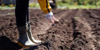 Ogromna grzywna dla polskiej agencji pracy. Holendrzy nie mieli litości