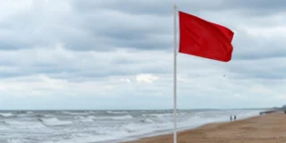 Alarm na plażach w Holandii