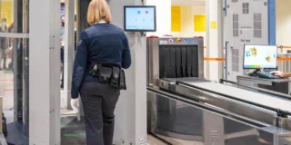 ukryła w biustonoszu żywego pytona